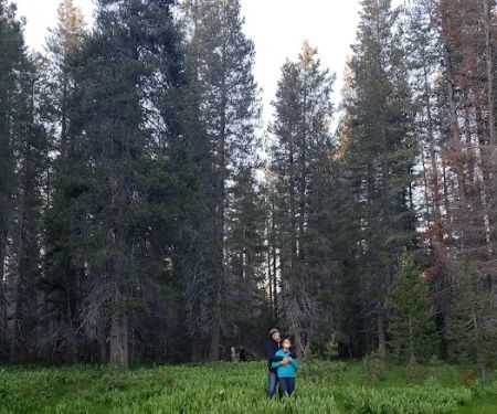 Eastern Big Meadow Road Camping Area