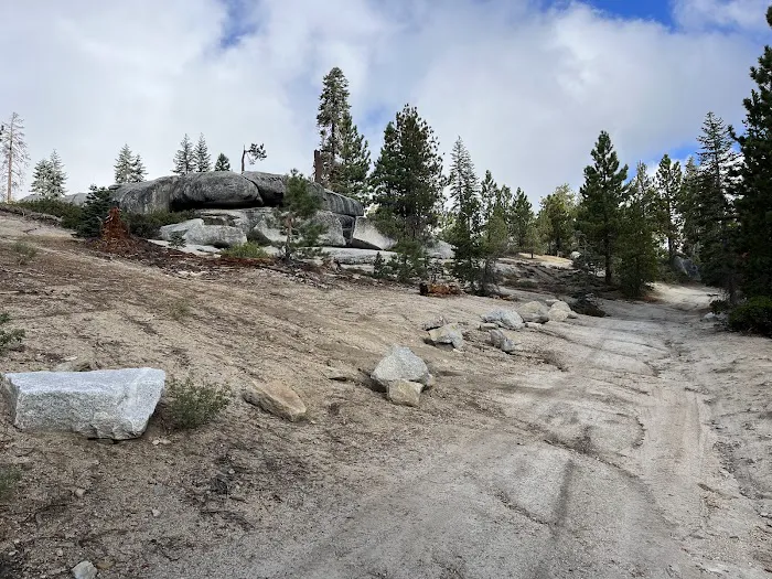 Eastern Big Meadow Road Camping Area Picture 2