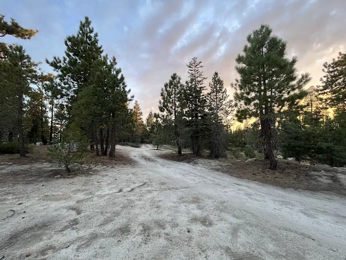 Eastern Big Meadow Road Camping Area Picture 4