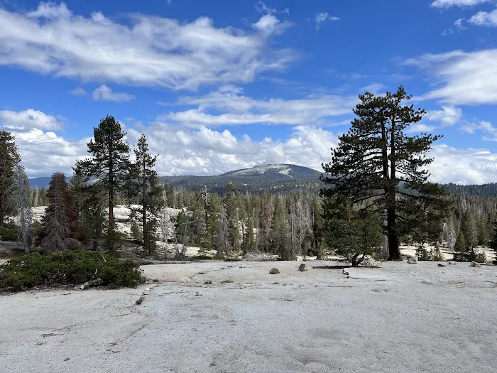 Eastern Big Meadow Road Camping Area Picture 5