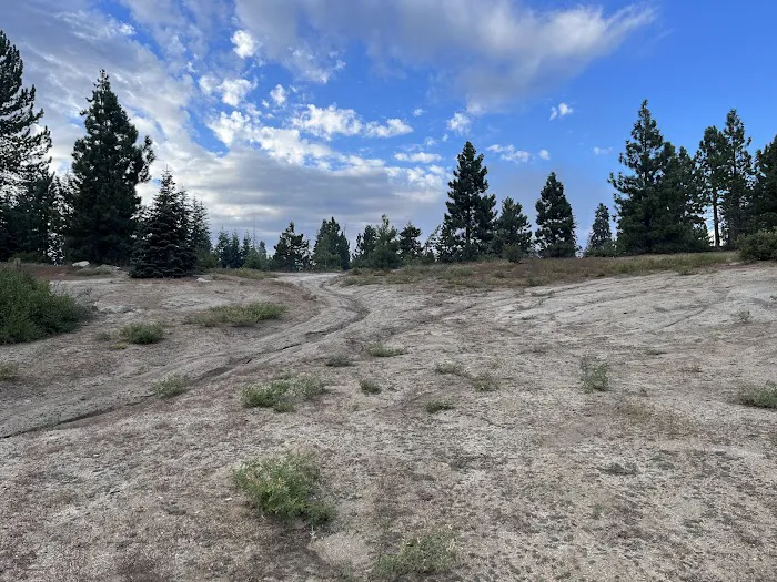 Eastern Big Meadow Road Camping Area Picture 10