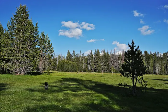 Big Meadow Campground Picture 3
