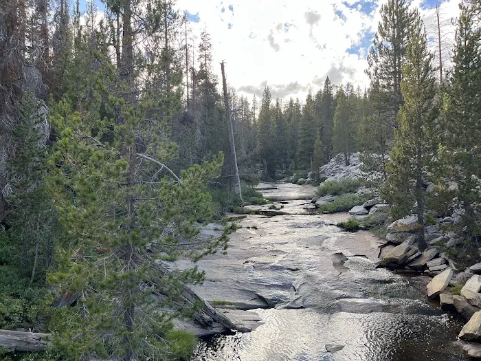 Big Meadow Campground Picture 5