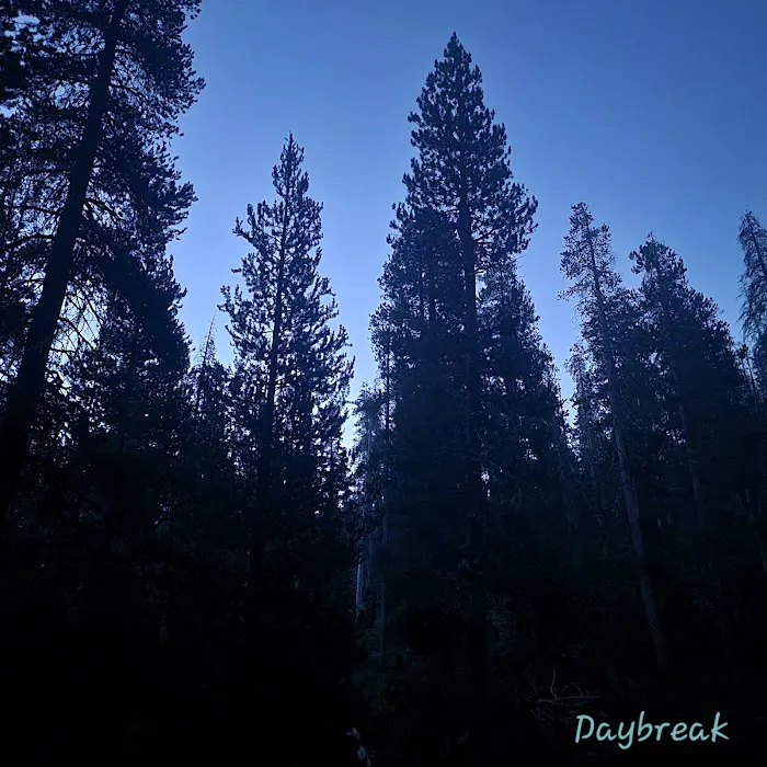Big Meadow Campground Picture 4