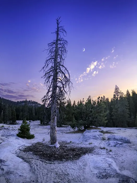 Big Meadow Campground Picture 6