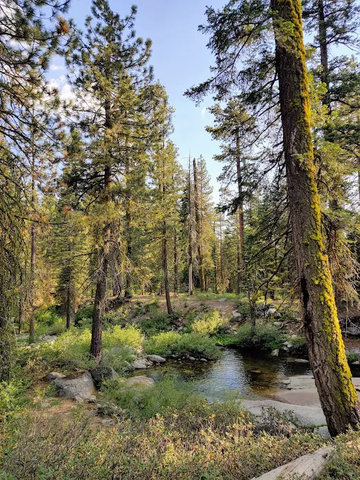 Upper Stony Creek Campground Picture 7