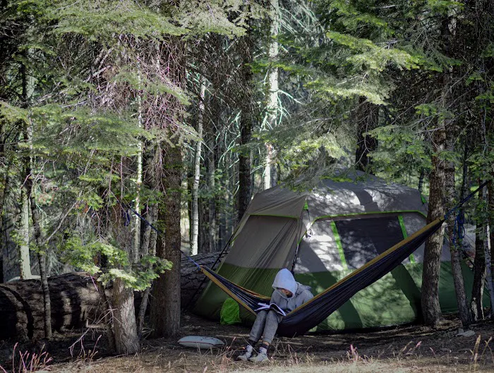 Upper Stony Creek Campground Picture 8