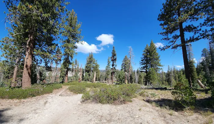 Weaver Lake Picture 2