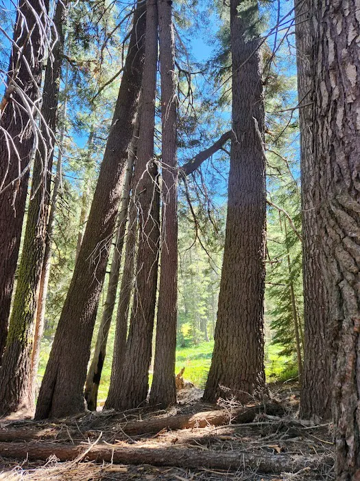 Weaver Lake Picture 4