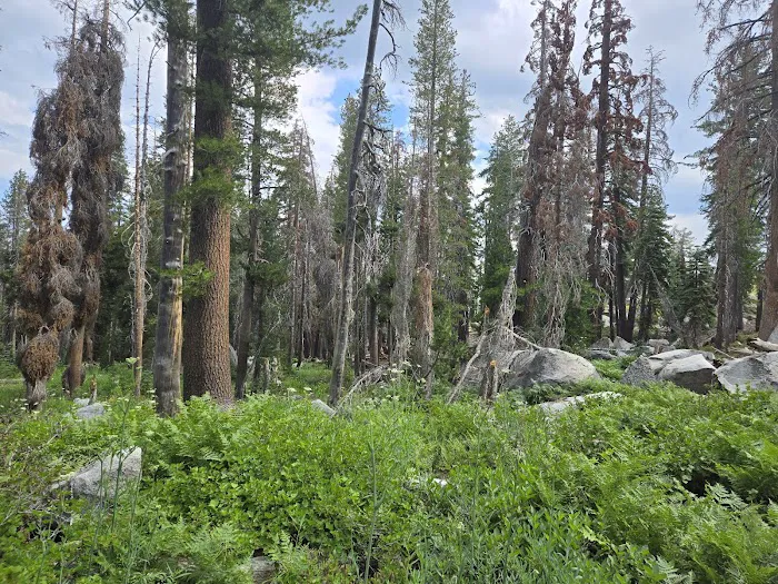 Weaver Lake Picture 6