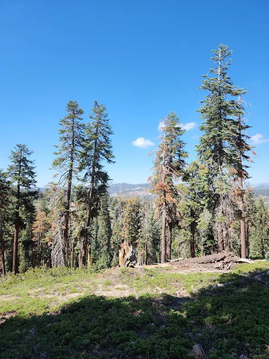 Weaver Lake Picture 5