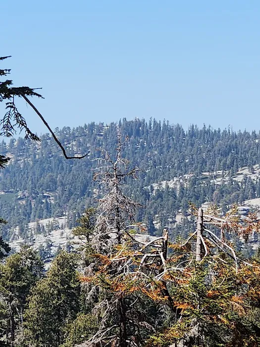 Weaver Lake Picture 7