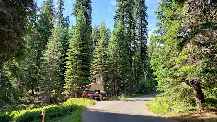 Dorst Creek Campground - Group Camp Area - B Picture 3