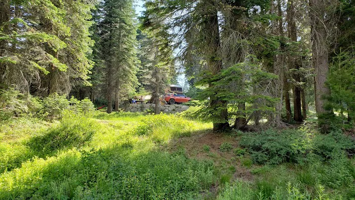 Dorst Creek Campground - Group Camp Area - B Picture 9