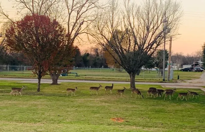Country Way Village Mobile Home Park Picture 2