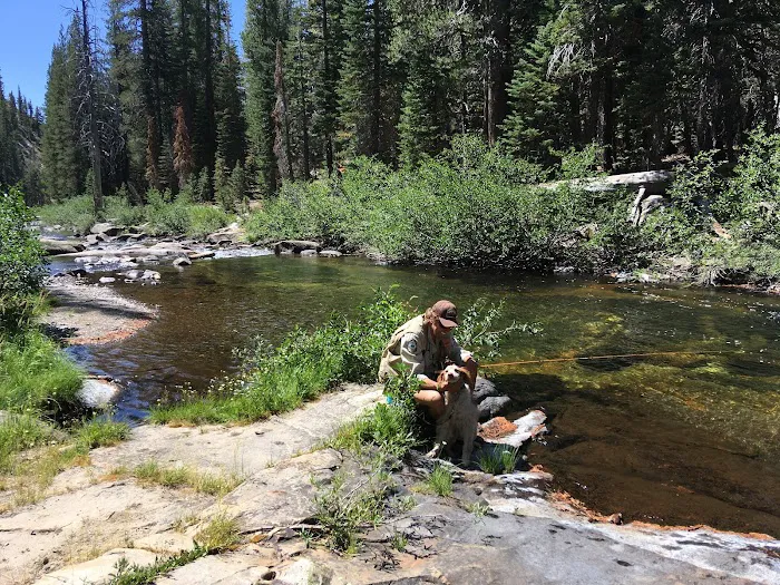 Upper Soda Springs Campground Picture 2