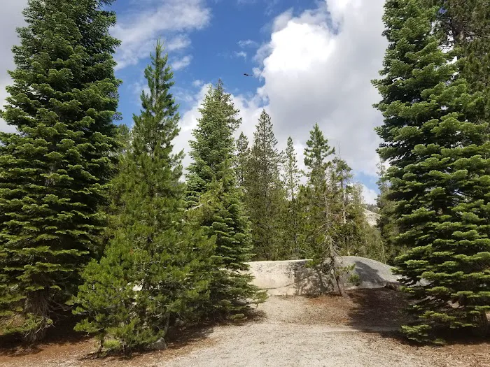 Upper Soda Springs Campground Picture 9