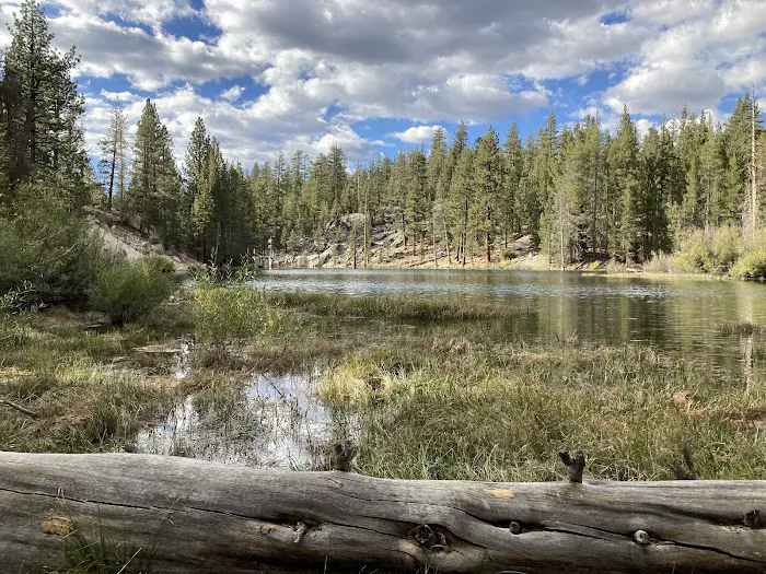 Mono Creek Campground Picture 2