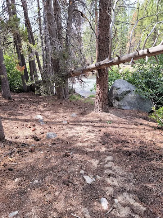 Mono Creek Campground Picture 5