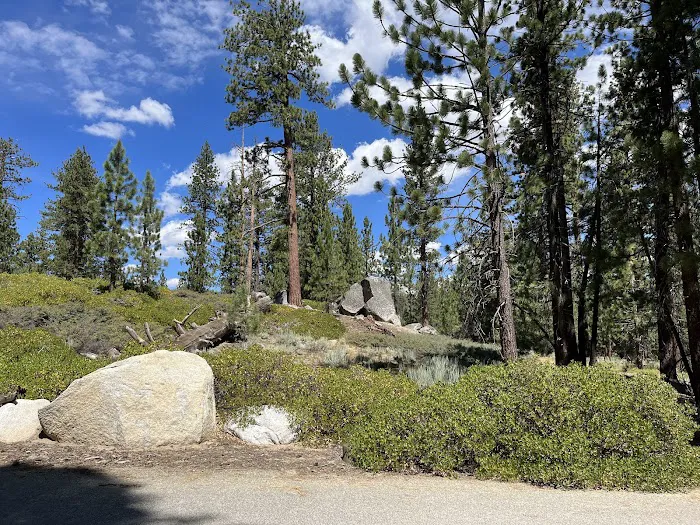 Mono Creek Campground Picture 4