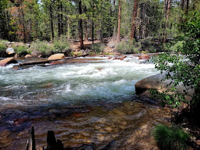 Mono Creek Campground Picture 6