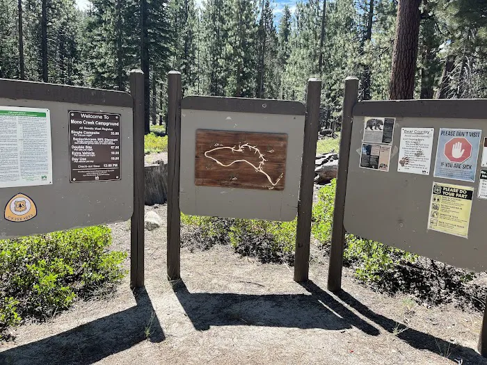 Mono Creek Campground Picture 8