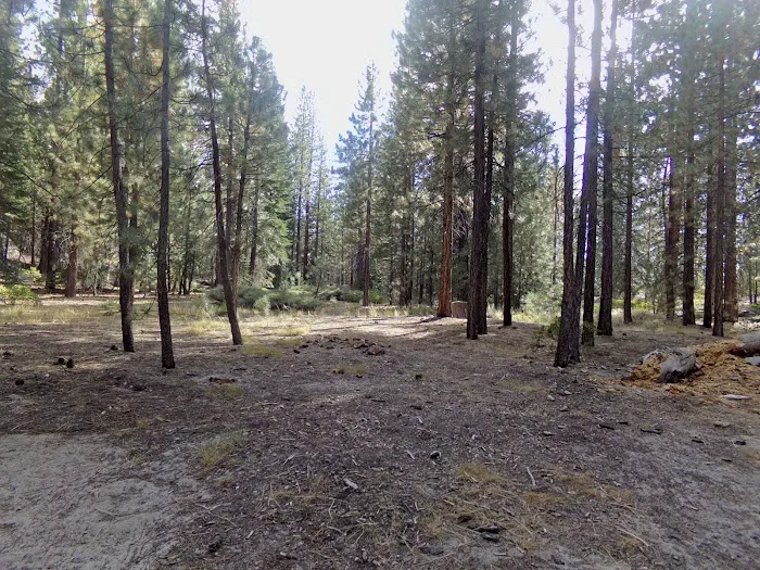 Mono Creek Day Use Area Picture 4