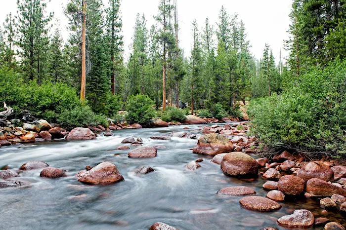 Mono Creek Day Use Area Picture 3