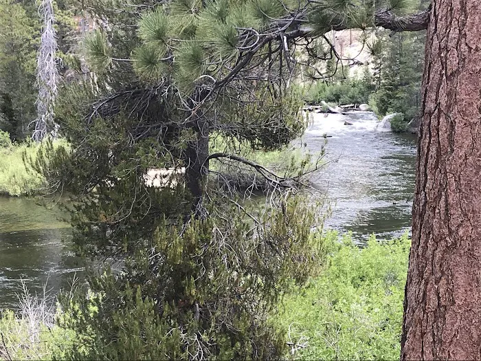 Mono Creek Day Use Area Picture 5
