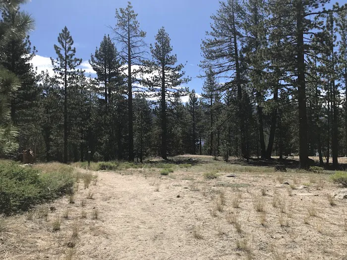 Mono Creek Day Use Area Picture 8