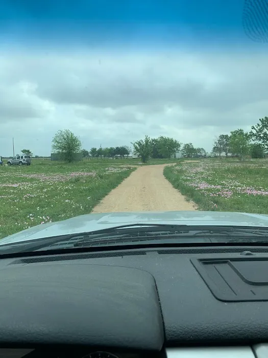 US 90 RV Park Picture 4