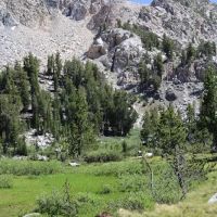 Dispersed Campground ico