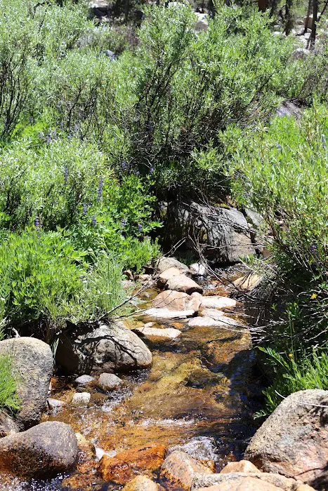 Dispersed Campground Picture 2
