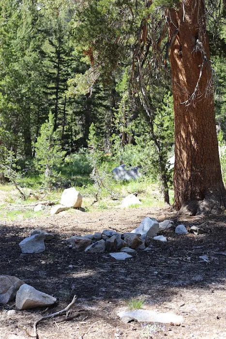 Dispersed Campground Picture 3
