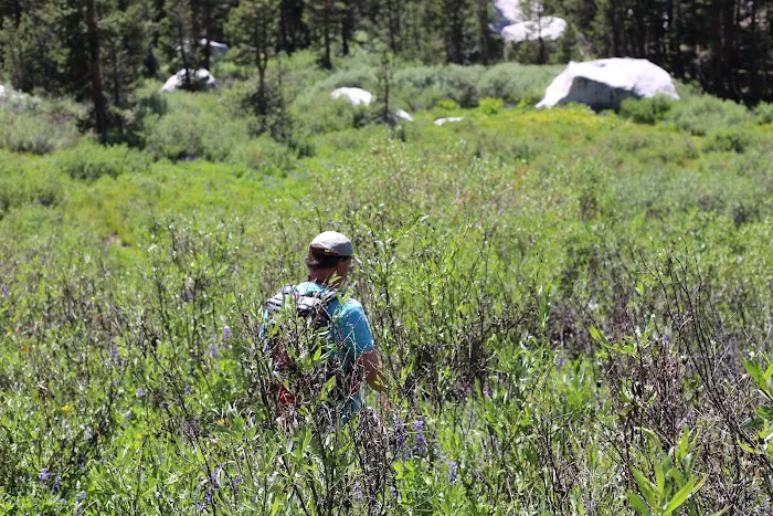 Dispersed Campground Picture 5