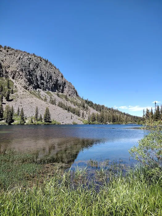 Twin Lakes Campground Picture 3