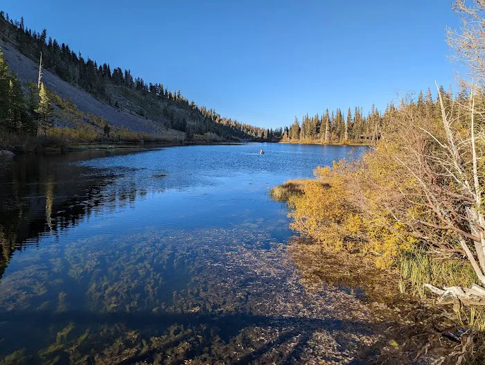 Twin Lakes Campground Picture 2