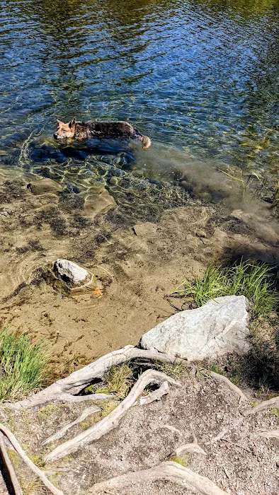 Lake George Campground Picture 7