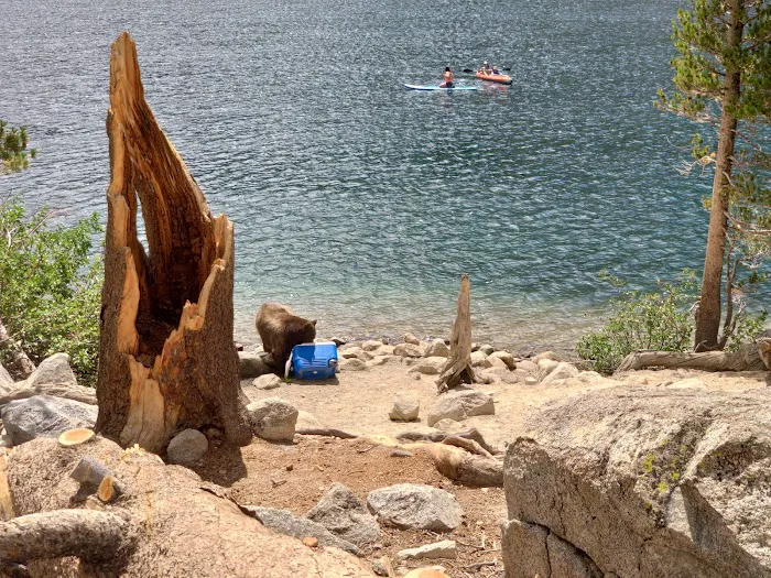 Lake George Campground Picture 6