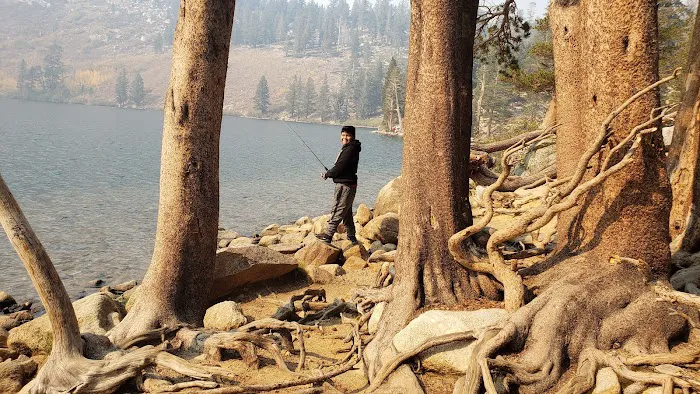 Lake George Campground Picture 9