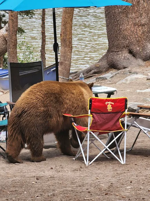 Lake Mary Campground Picture 3