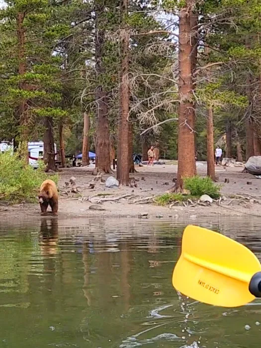 Lake Mary Campground Picture 5