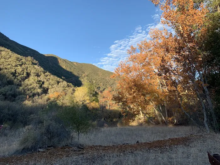 Coldwater Campground Picture 6