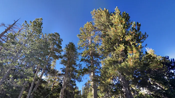 Coldwater Campground Picture 9