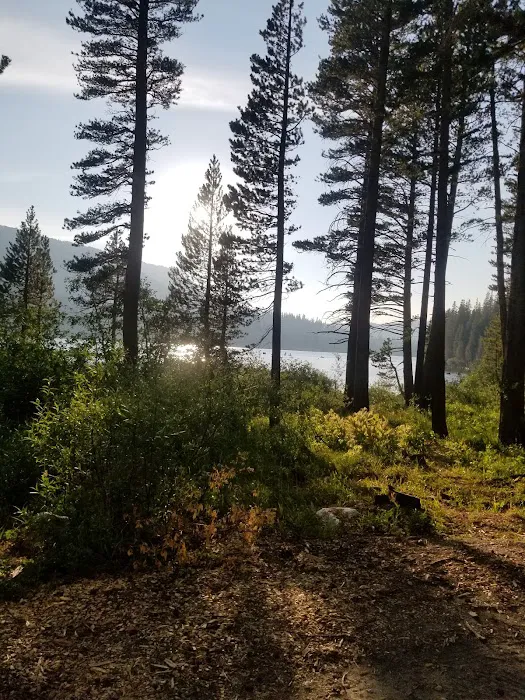 Coldwater Campground Picture 10