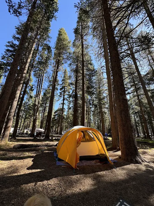 Camp High Sierra Picture 10
