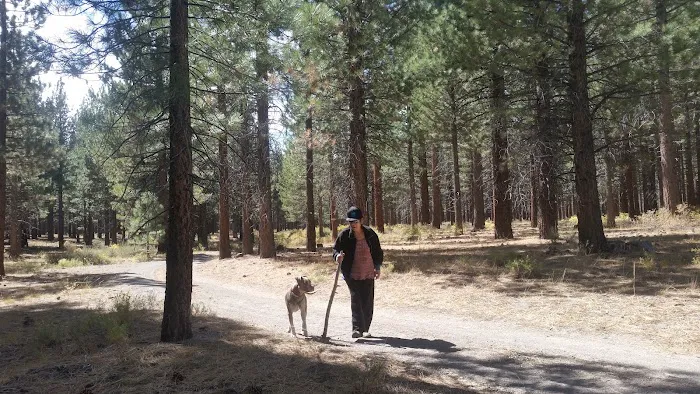 Old Shady Rest Campground Picture 2