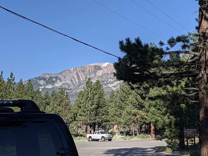 Old Shady Rest Campground Picture 7