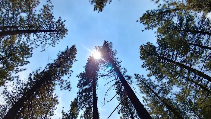 Old Shady Rest Campground Picture 10