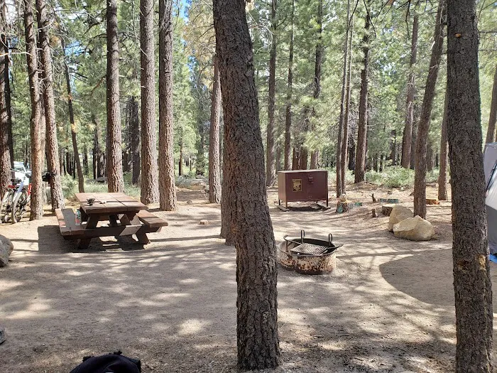 New Shady Rest Campground Picture 2